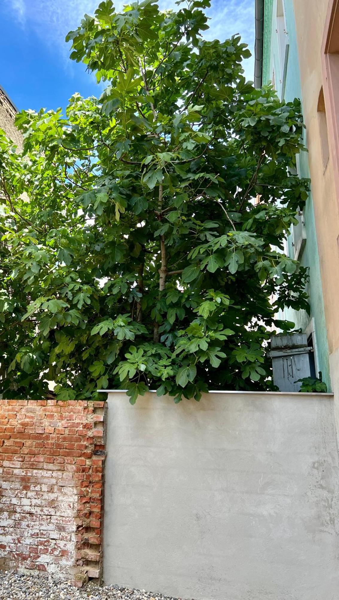 Rs-0 - F2 Au Rdc A Pour 1-3 Pers Apartment